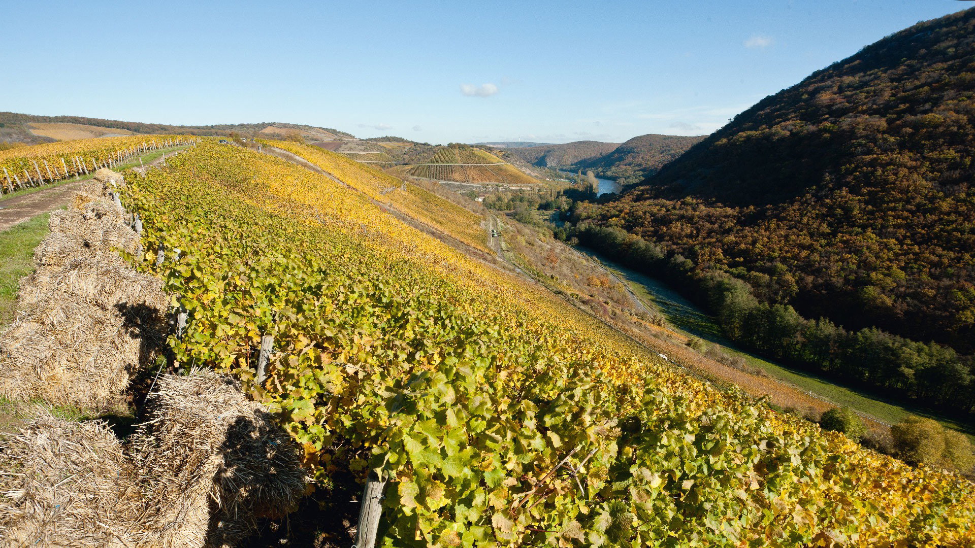 Weingut Hermann Dönnhoff, Oberhausen an der Nahe, Germany