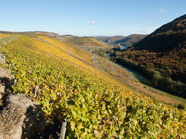 Weingut Hermann Dönnhoff, Oberhausen an der Nahe, Germany