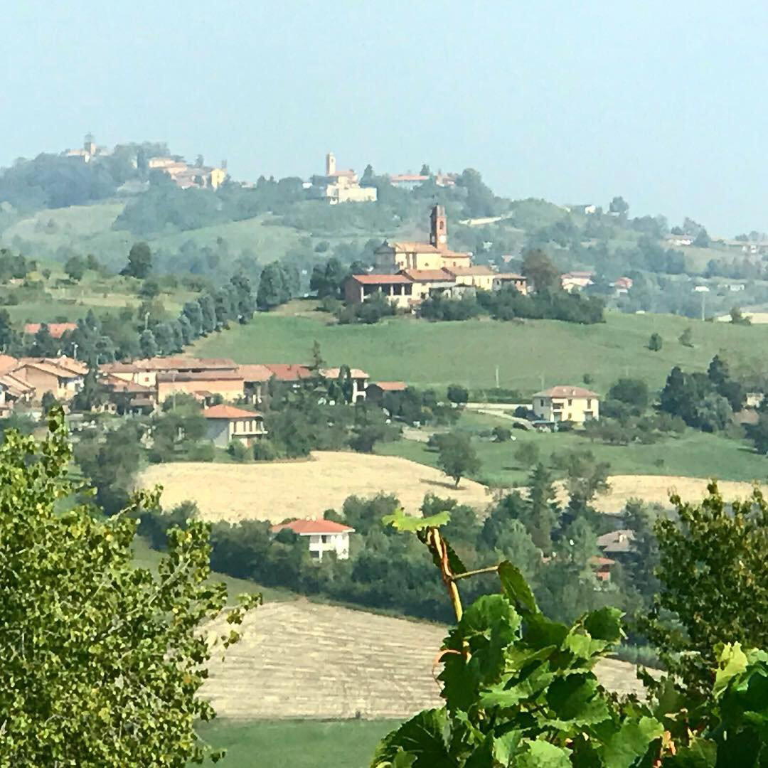 Cocchi winery in Asti