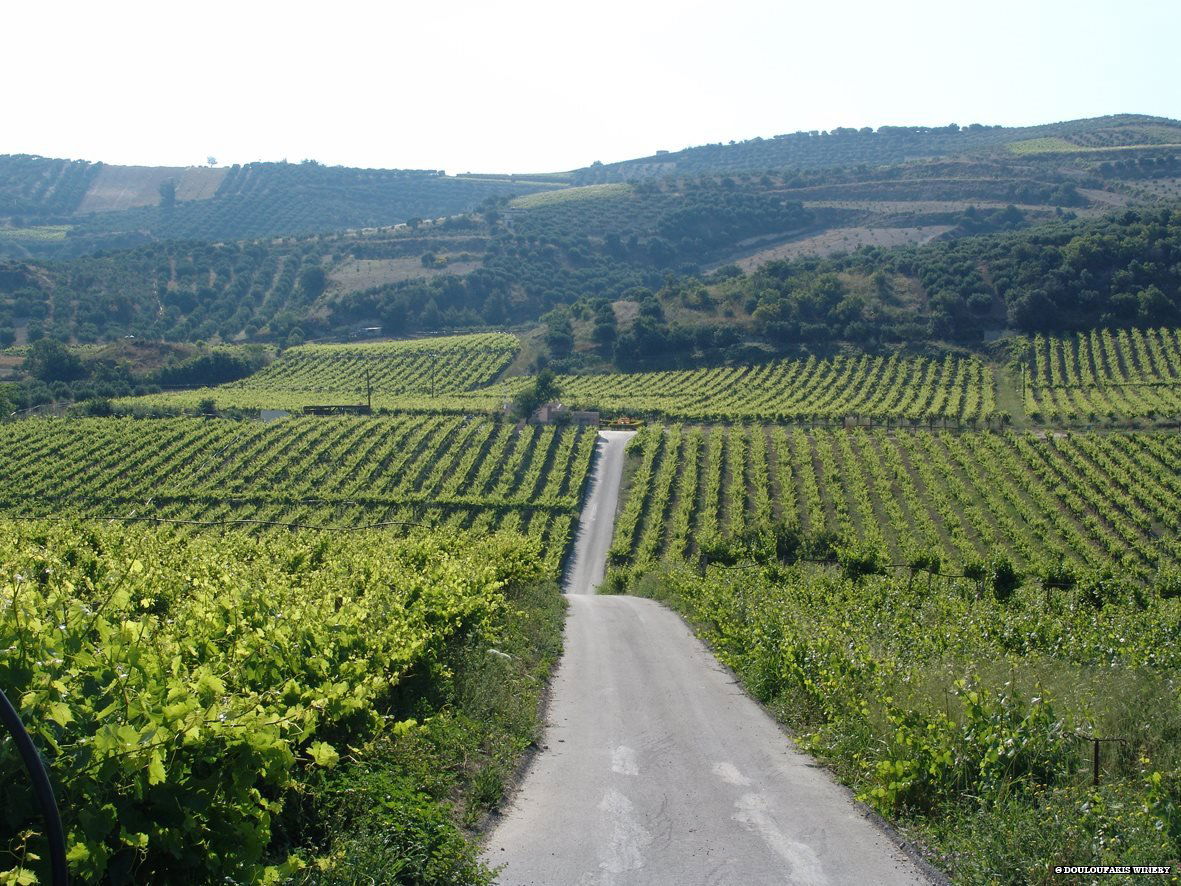Douloufakis Winery, Winery in Dafnes
