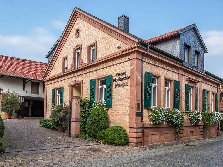 Weingut Georg Mosbacher, Forst an der Weinstraße, Germany