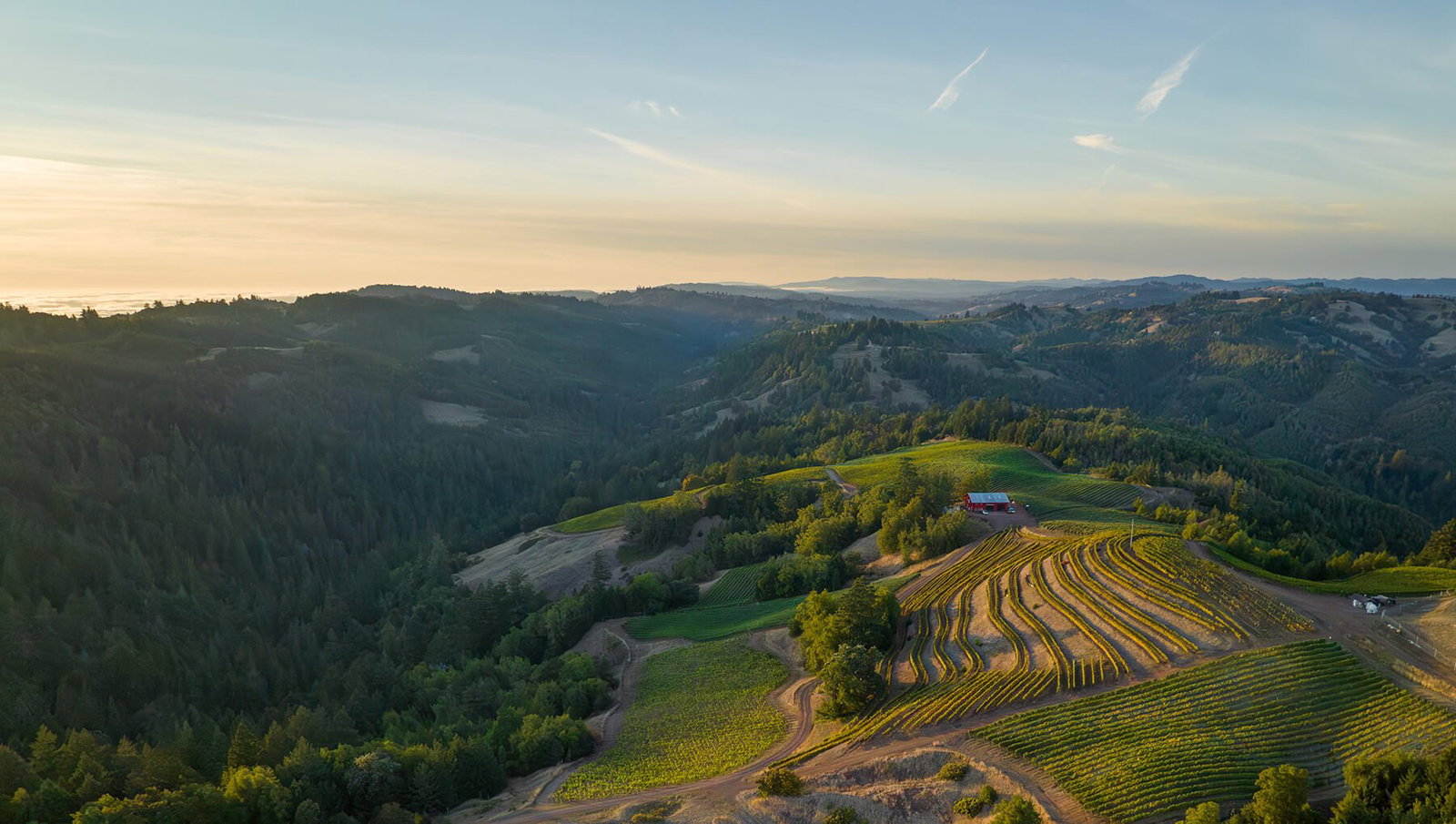 Fort Ross Vineyard & Winery