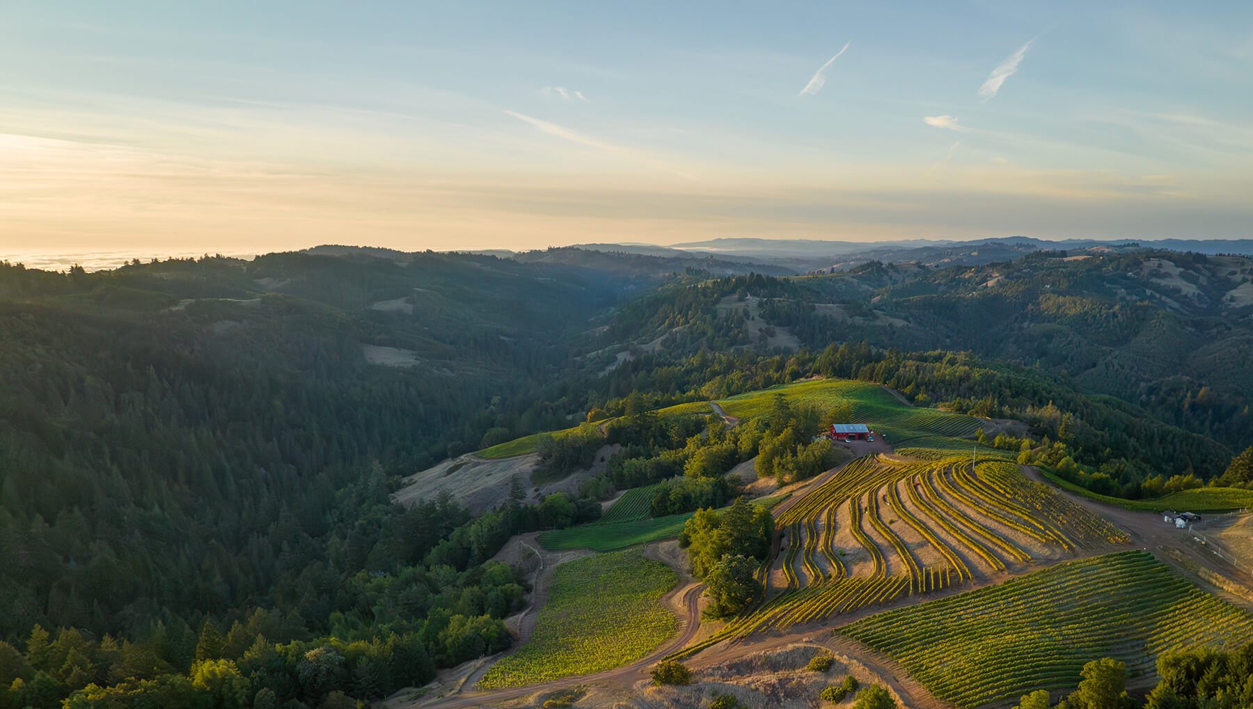 Fort Ross Vineyard & Winery