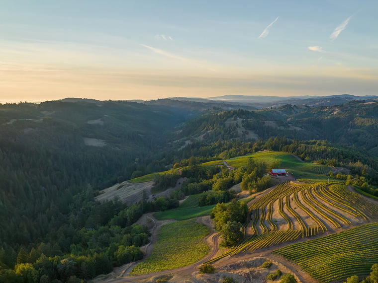 Fort Ross Vineyard & Winery, Cazadero, United States