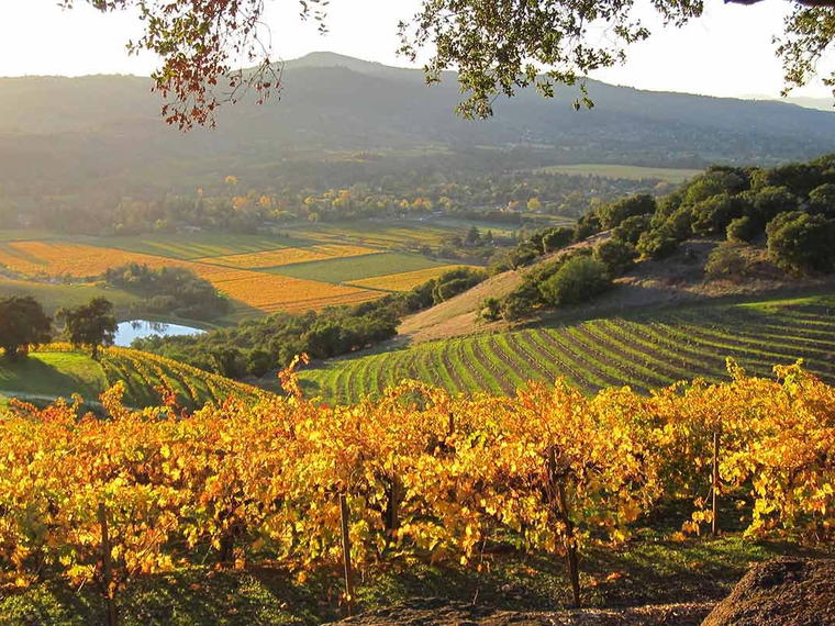 Kunde Family Winery, Kenwood, United States