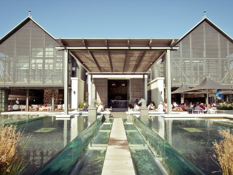 Steenberg Vineyards, Cape Town, South Africa
