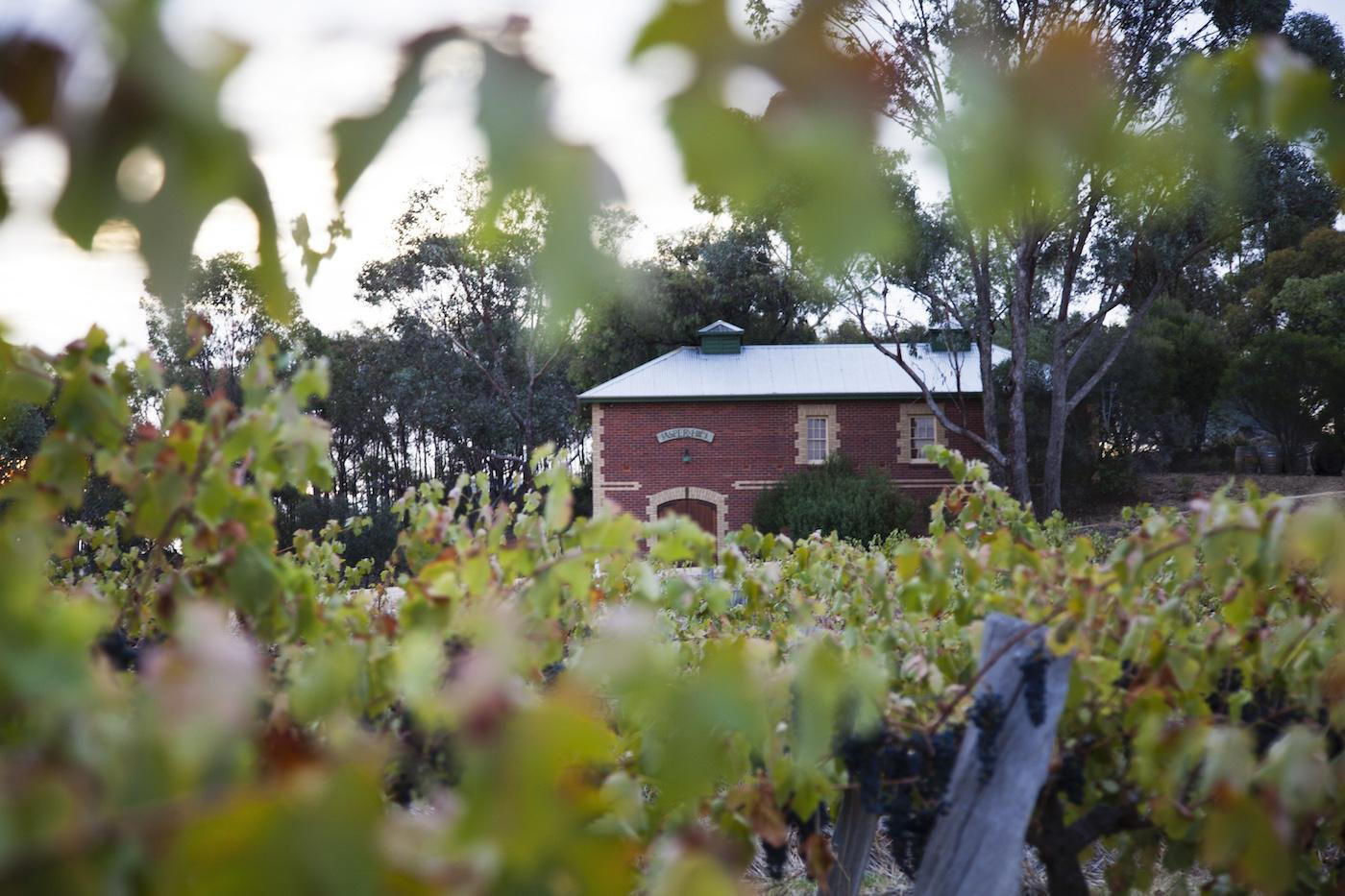 Jasper Hill winery in Heathcote