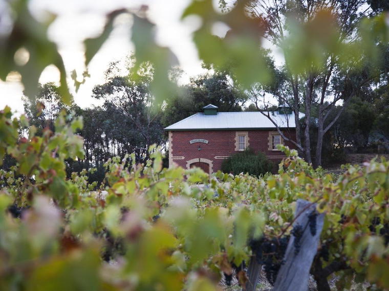 Jasper Hill, Heathcote, Australia