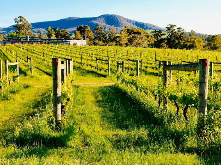 Bannockburn Vineyards, Geelong, Australia