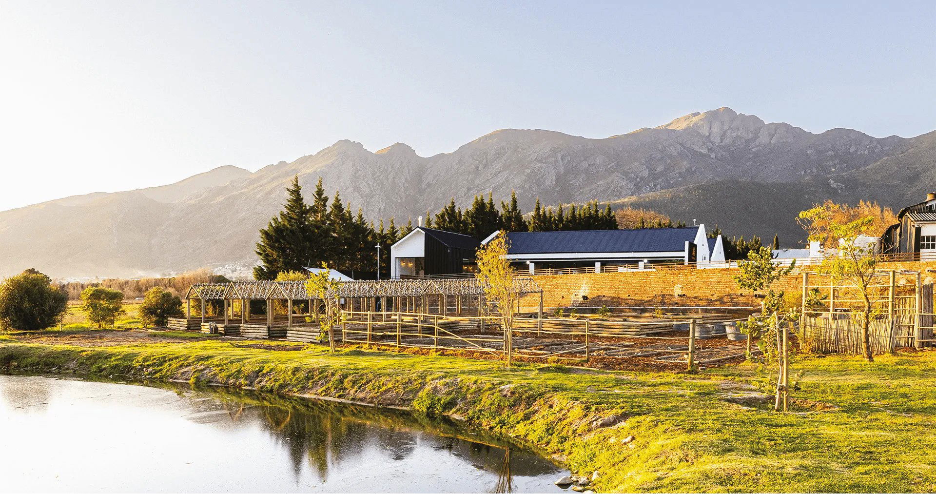Backsberg winery in Paarl, South Africa