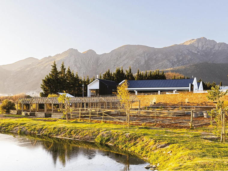 Backsberg, Paarl, South Africa