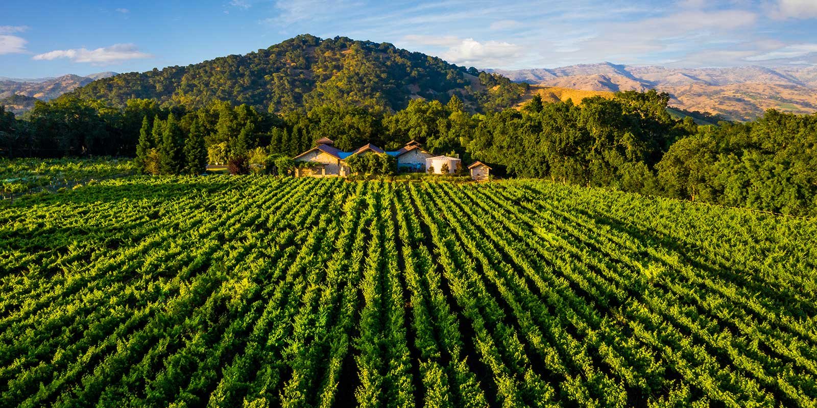 Bell Wine Cellars winery in Yountville, United States