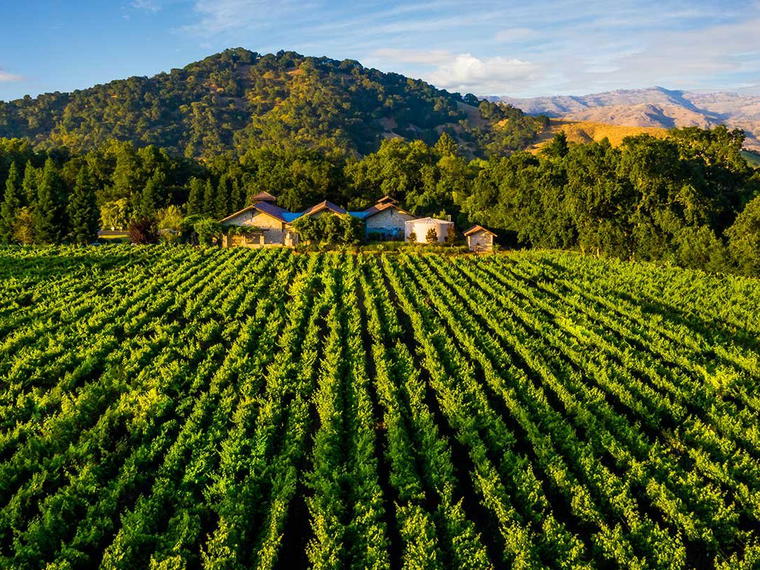 Bell Wine Cellars, Yountville, United States
