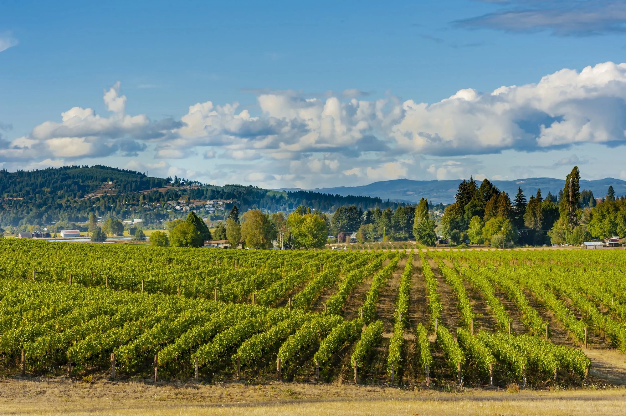 Montinore Estate, Forest Grove, United States