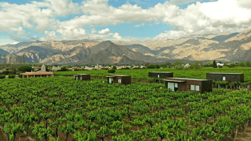 El Porvenir de Cafayate