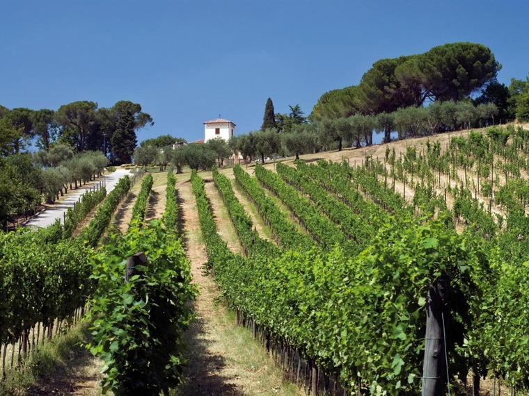 Tenuta Cavalier Pepe, Sant'Angelo All'Esca, Italy