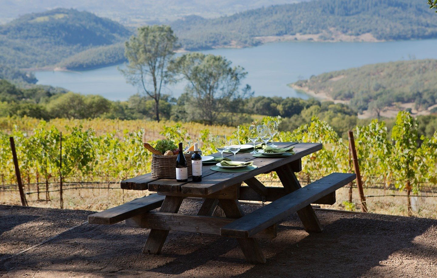 Chappellet Winery winery in St. Helena, United States