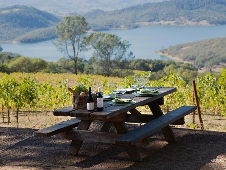Chappellet Winery, St. Helena, United States