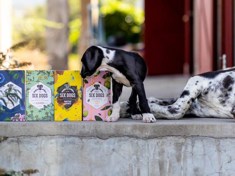 Six Dogs Distillery, Worcester, South Africa