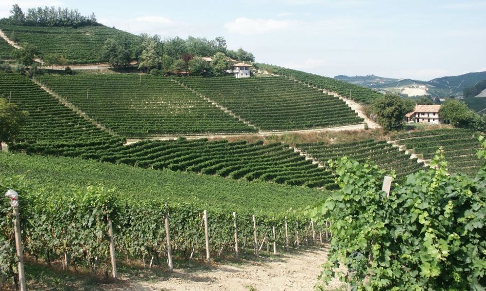 Brovia winery in Castiglione Falletto, Italy
