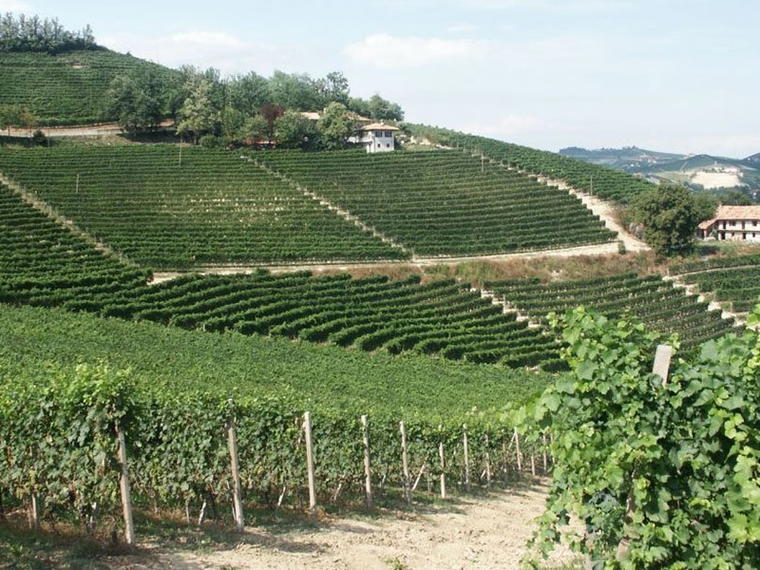 Brovia, Castiglione Falletto, Italy