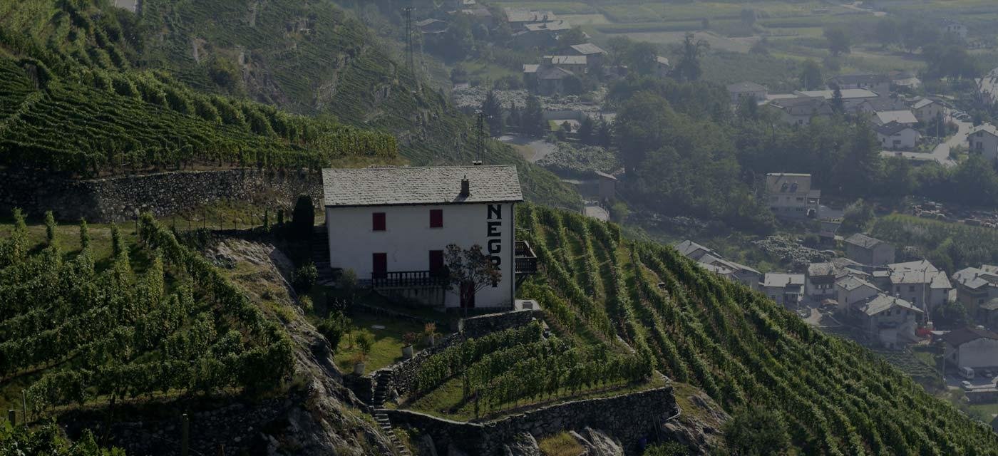 Nino Negri winery in Chiuro, Italy