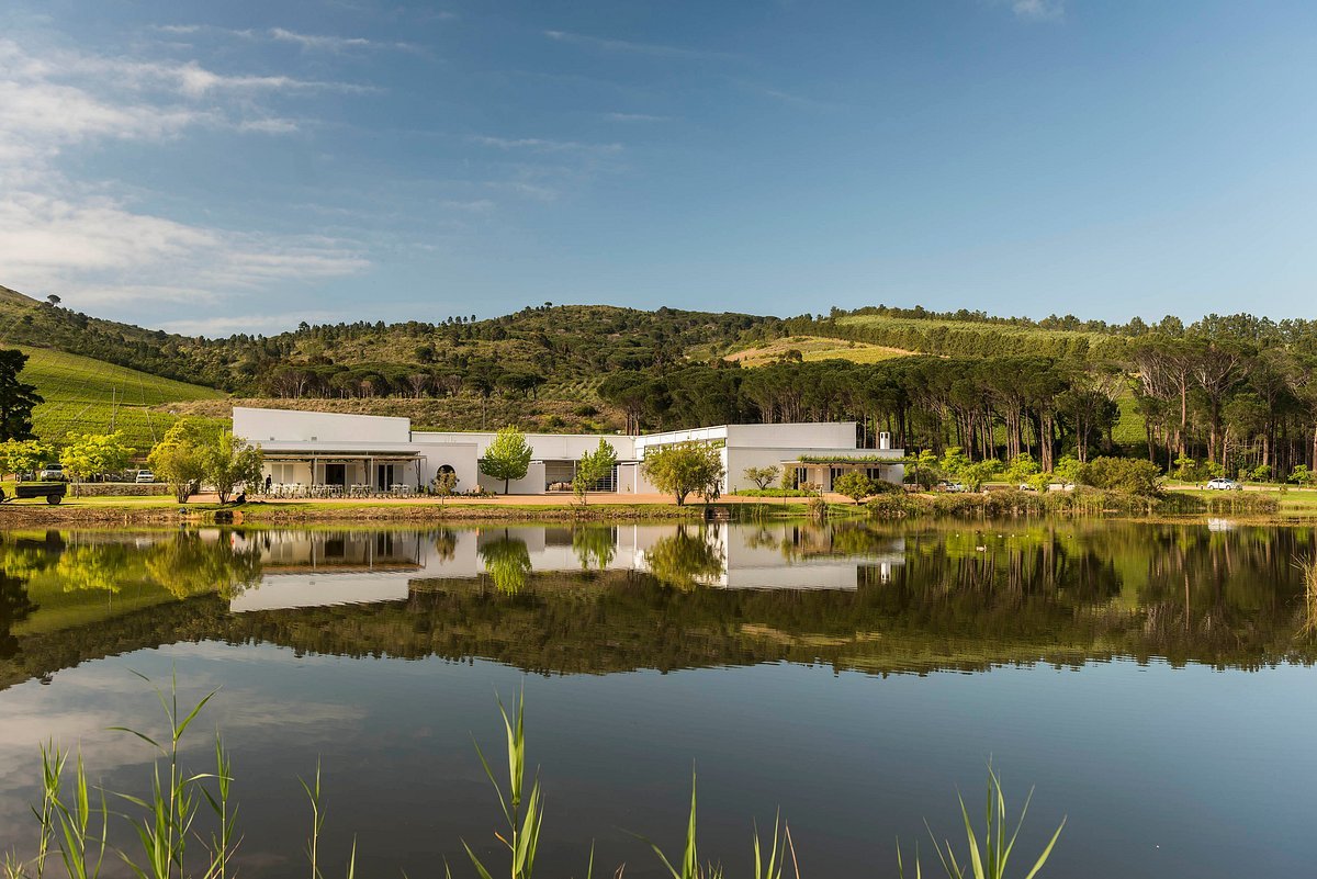 Morgenster Estate winery in Somerset West, South Africa