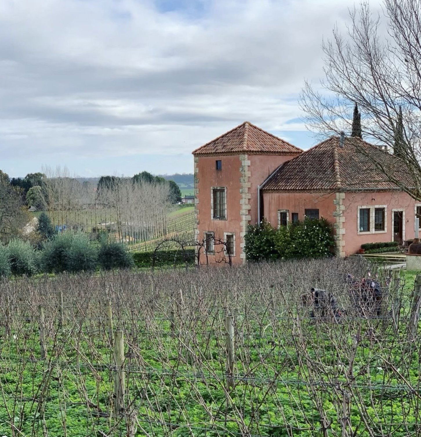 Picardy Wines, Winery in Pemberton
