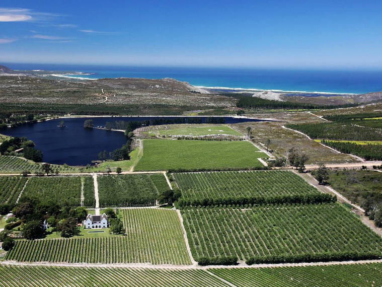 Iona Vineyard, Elgin, South Africa