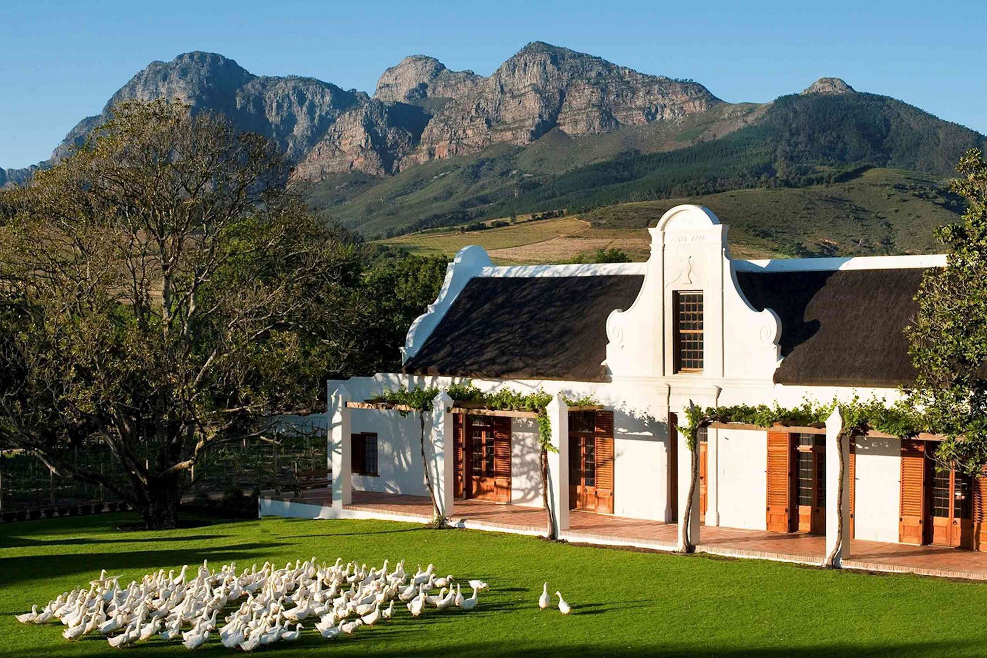 Babylonstoren winery in Franschhoek, South Africa