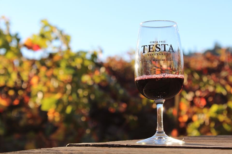 Testa Vineyards winery in Calpella, United States