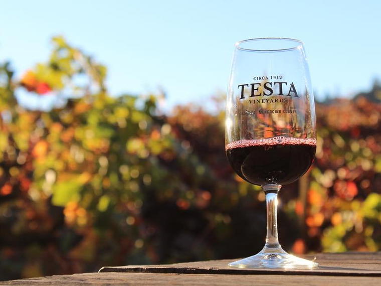 Testa Vineyards, Calpella, United States
