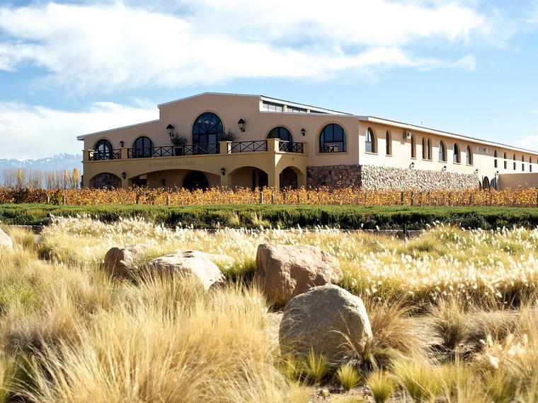 Bodega Piedra Negra, Tunuyán, Argentina