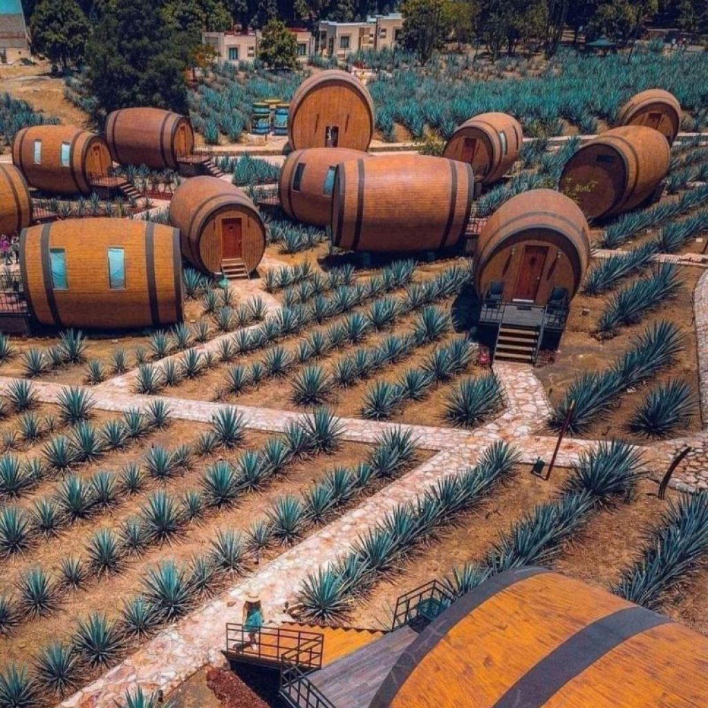 La Cofradía winery in Tequila