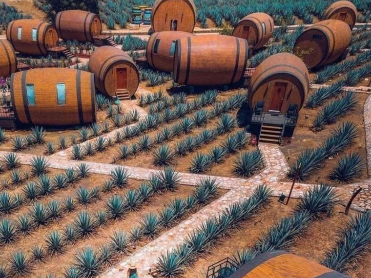 La Cofradía, Tequila, Mexico