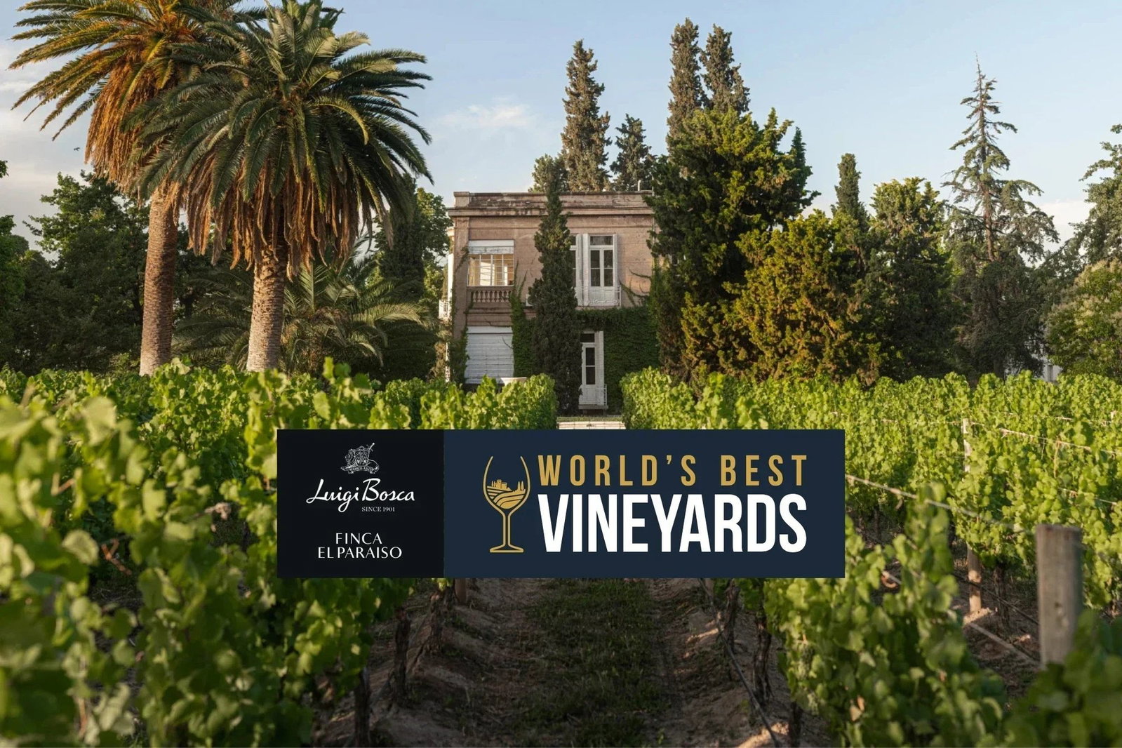 Finca El Paraíso - Luigi Bosca, Maipú, Argentina