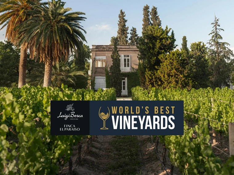 Finca El Paraíso - Luigi Bosca, Maipú, Argentina