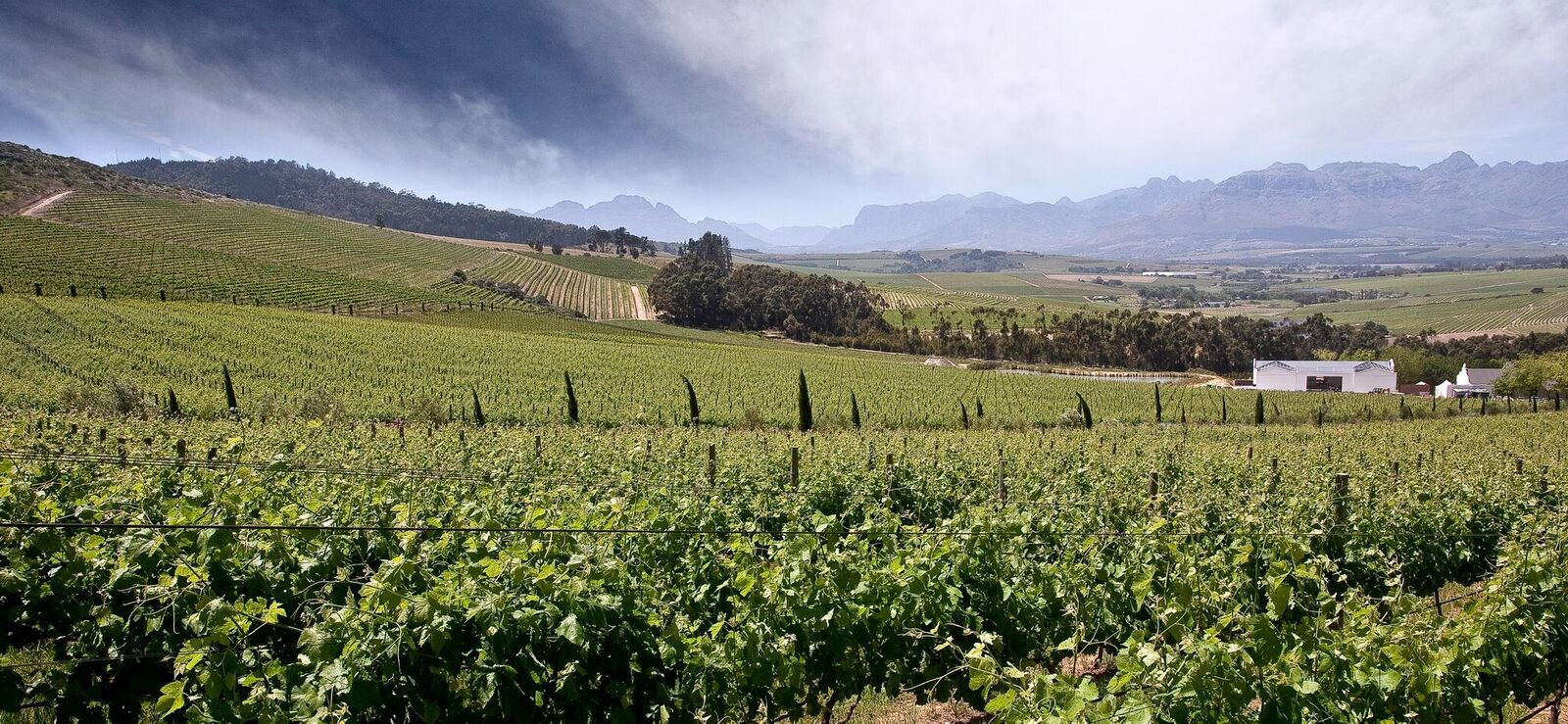 De Morgenzon winery in Stellenbosch, South Africa