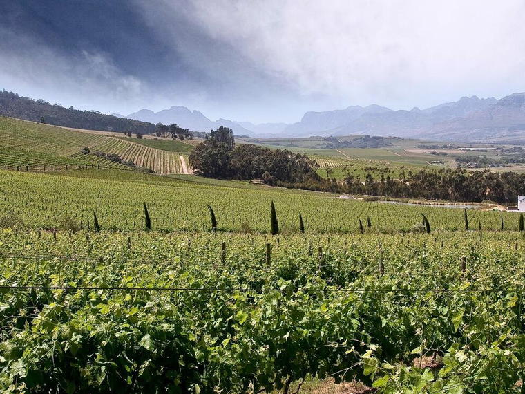 De Morgenzon, Stellenbosch, South Africa