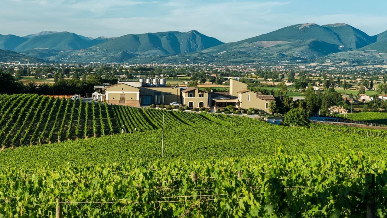 Arnaldo Caprai, Montefalco, Italy