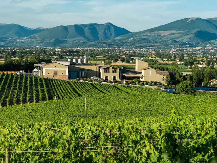 Arnaldo Caprai, Montefalco, Italy