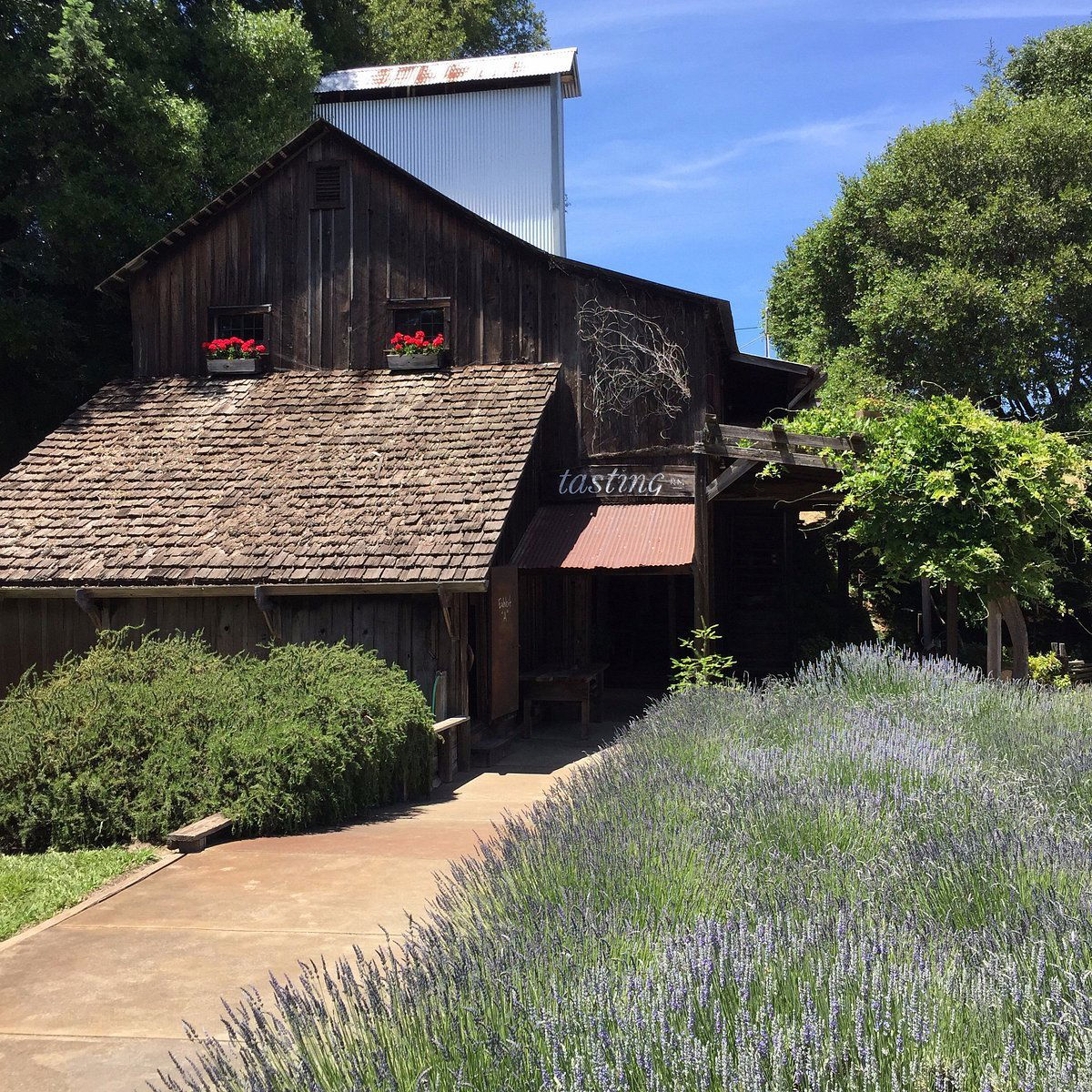 Phillips Hill Winery, Winery in Philo