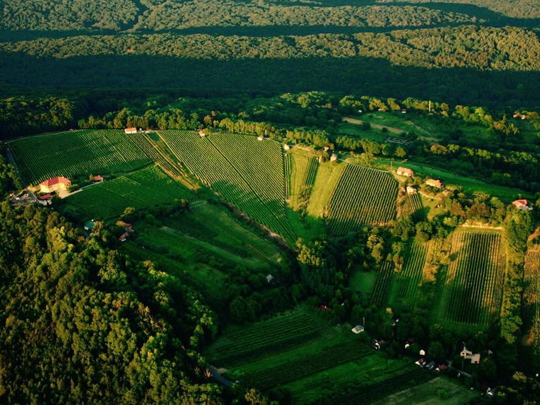 Bussay Pince, Csörnyeföld, Hungary