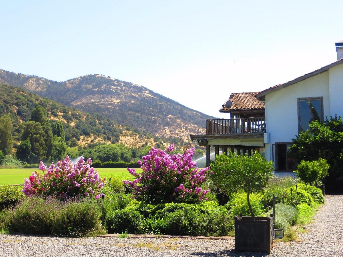 Viña Casa Silva winery in San Fernando, Chile