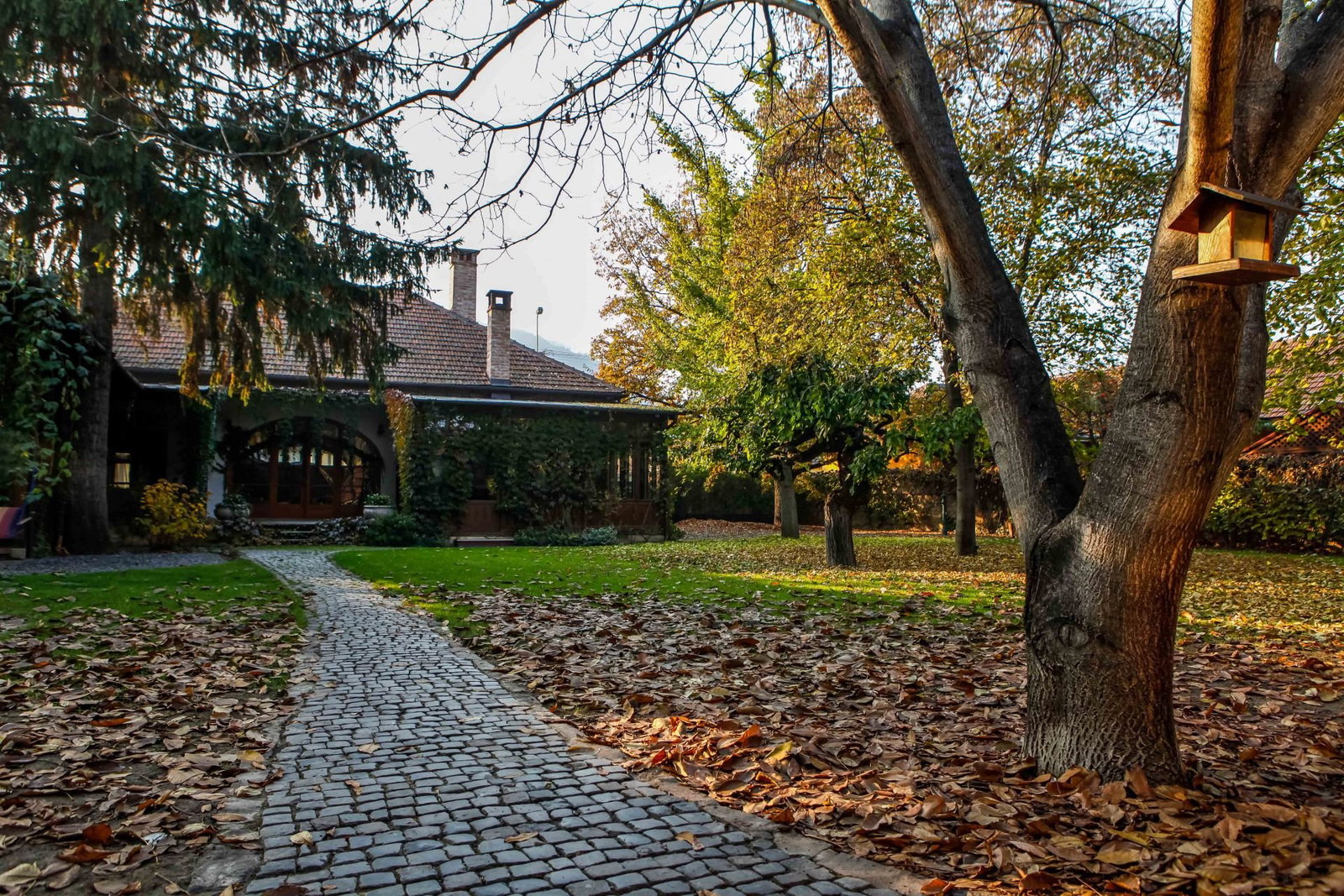 Demeter Zoltán Winery