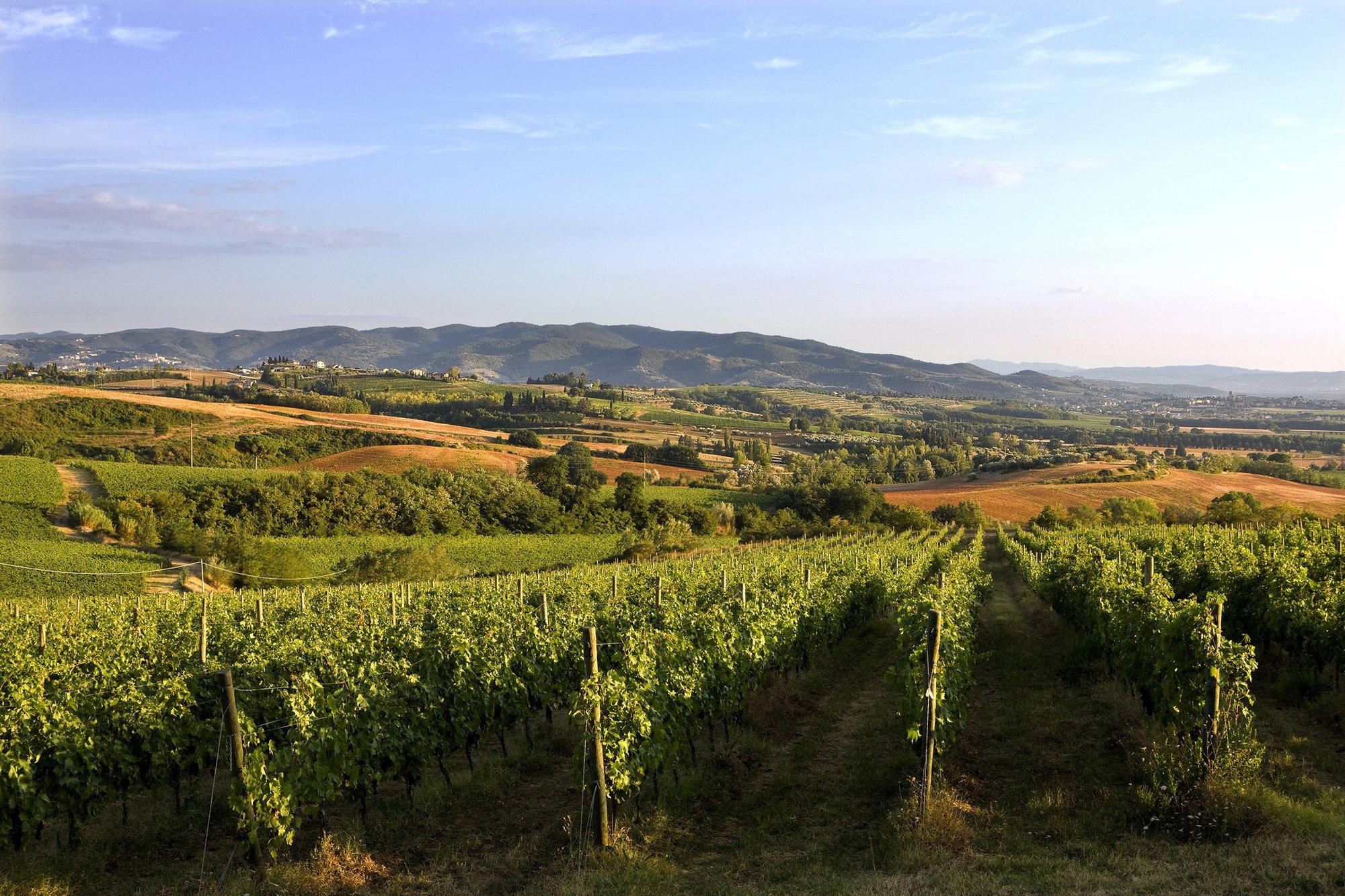 Lungarotti winery in Torgiano