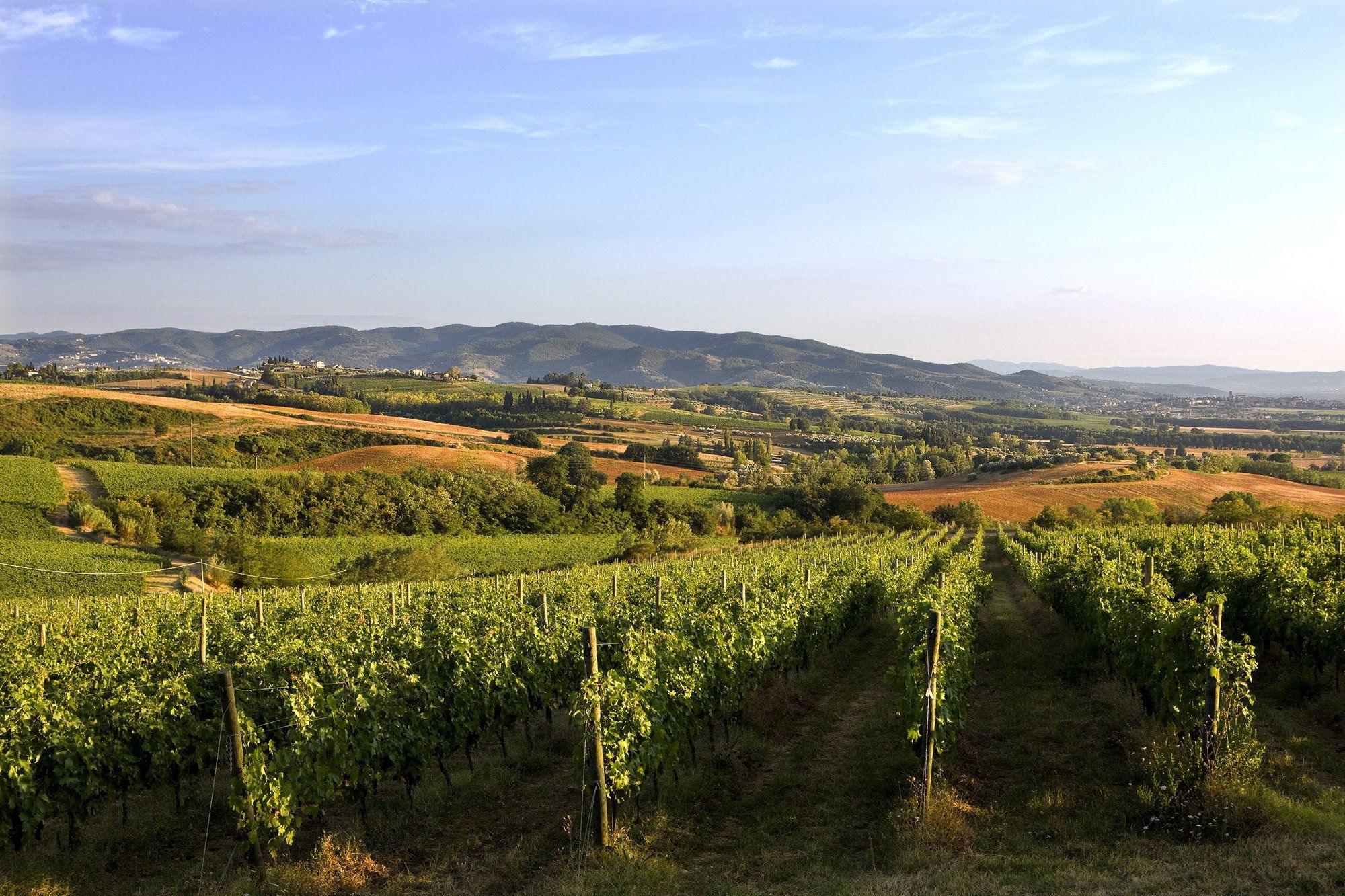 Lungarotti, Winery in Torgiano