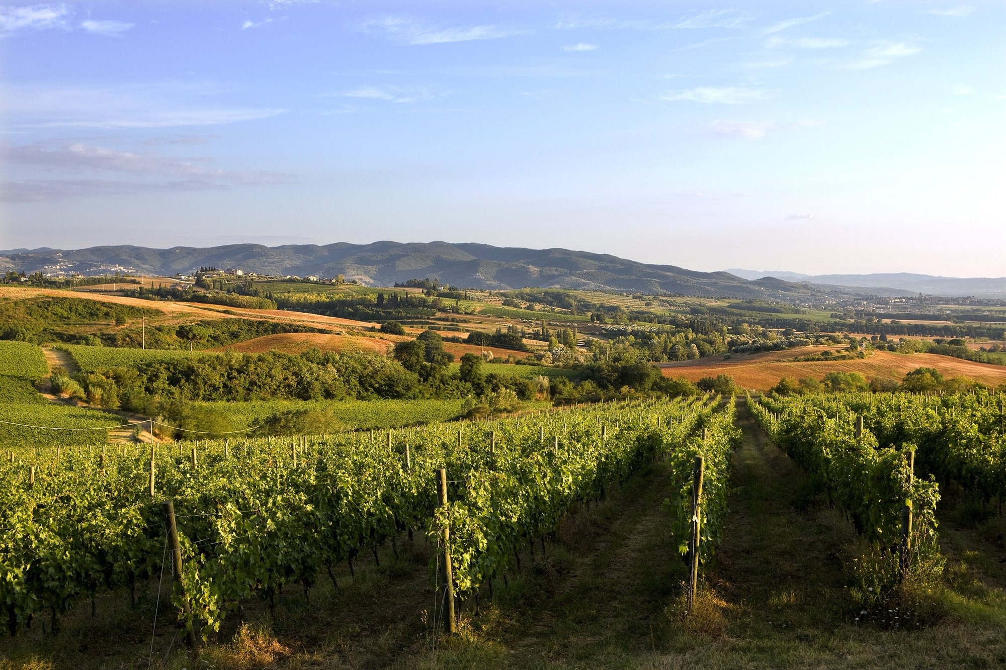 Lungarotti, Torgiano, Italy