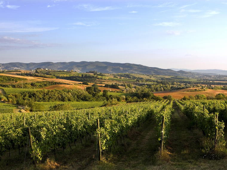 Lungarotti, Torgiano, Italy