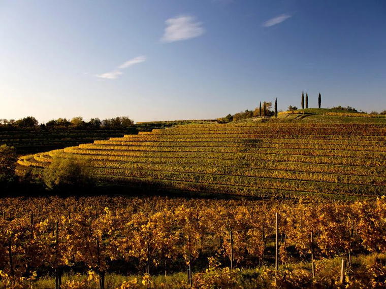 Livio Felluga, Cormons, Italy